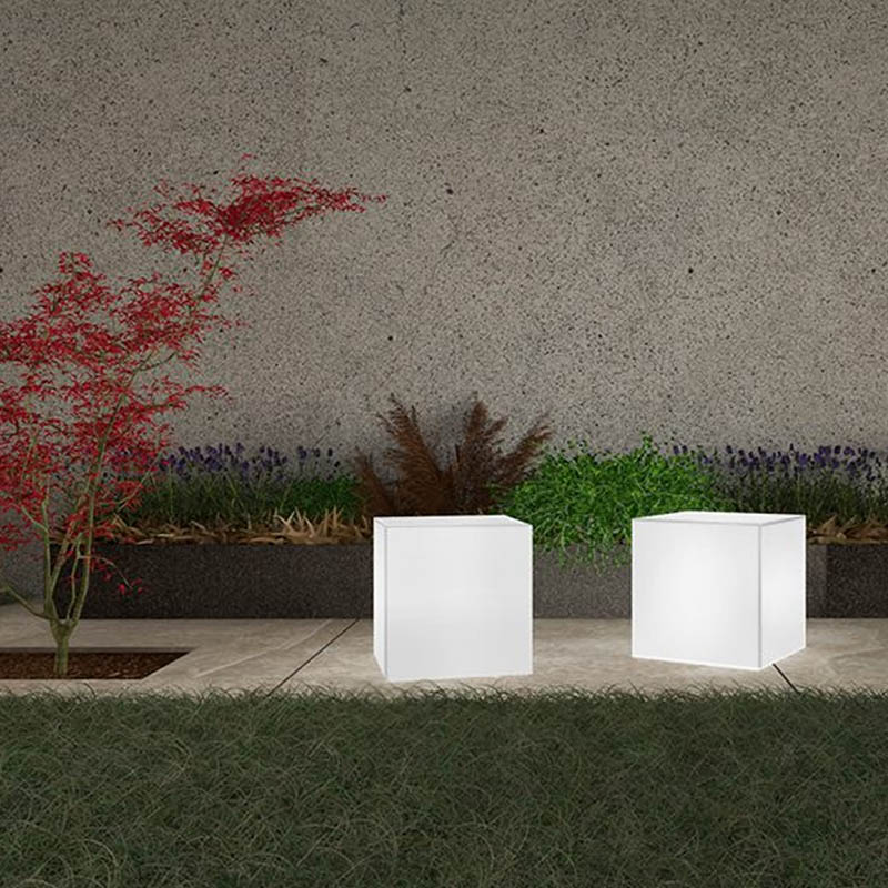 _0000_iris-sl- giardino